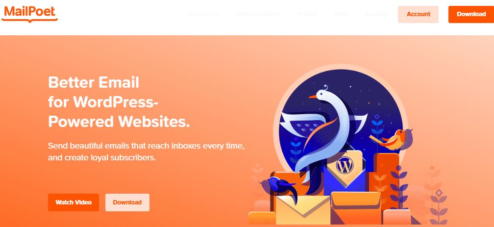 WooCommerce Marketing Plugins