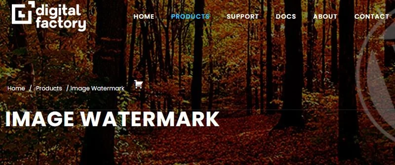 Image Watermark by dFactory
