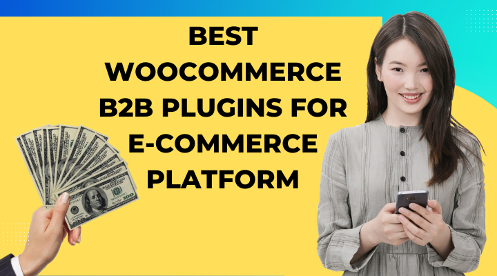 WooCommerce B2B Plugins