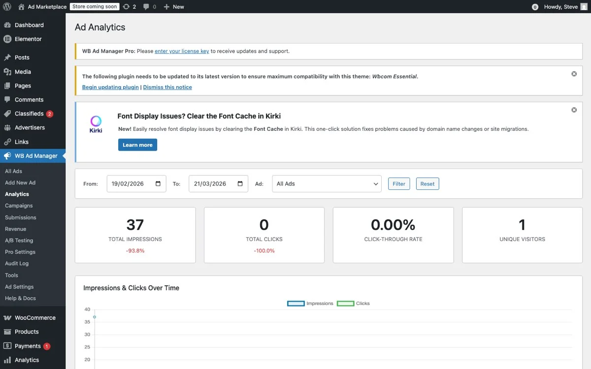 WB Ad Manager analytics dashboard showing real-time impressions, clicks, CTR, and performance charts